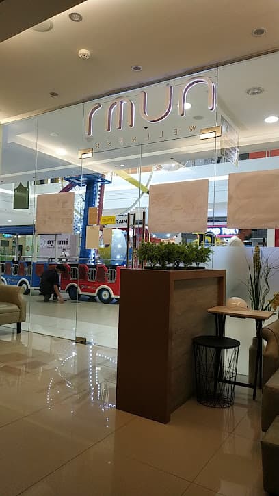 Numi Wellness