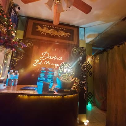 Davinci BODY Massage SPA
