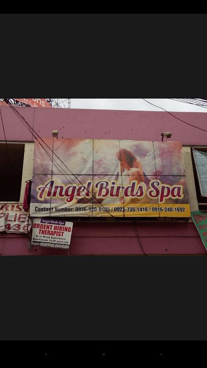 Angel Birds Spa