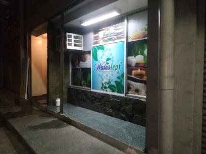 Waterleaf Wellness spa